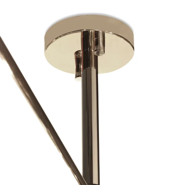 Hank - Lustre – Image 4